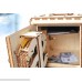 Model Safe Kit | 3D Wooden Puzzle | DIY Mechanical Safe B01DMLCG3W